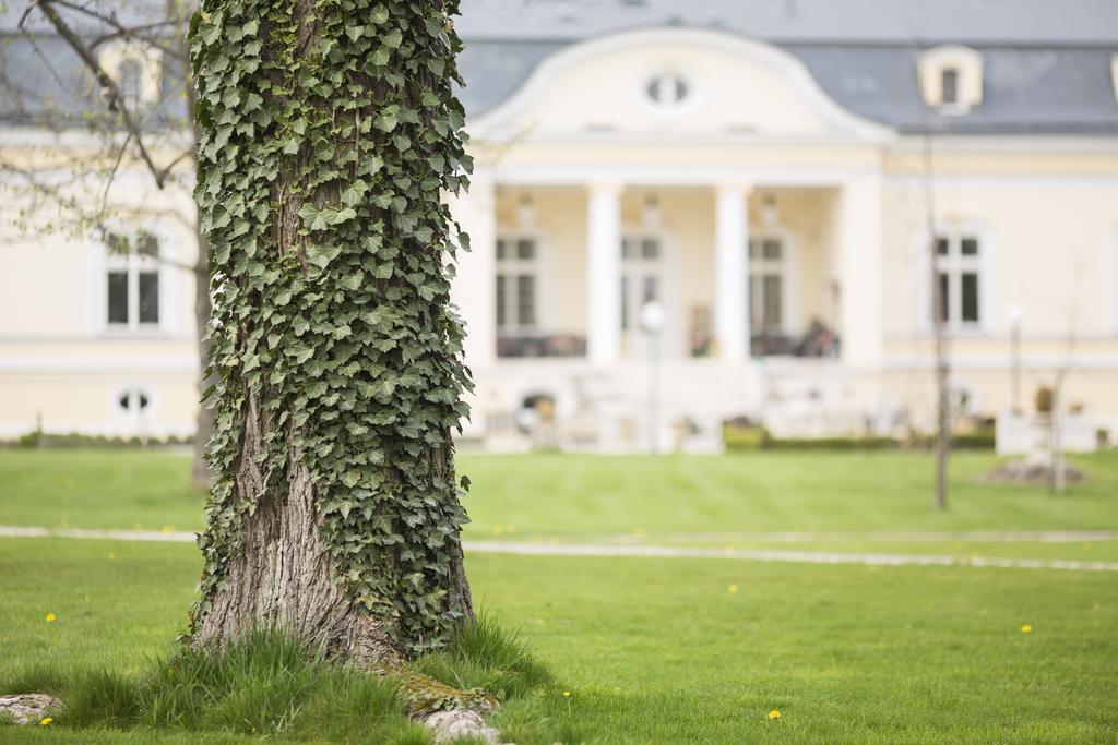 Amade Chateau Vrakúň Bagian luar foto