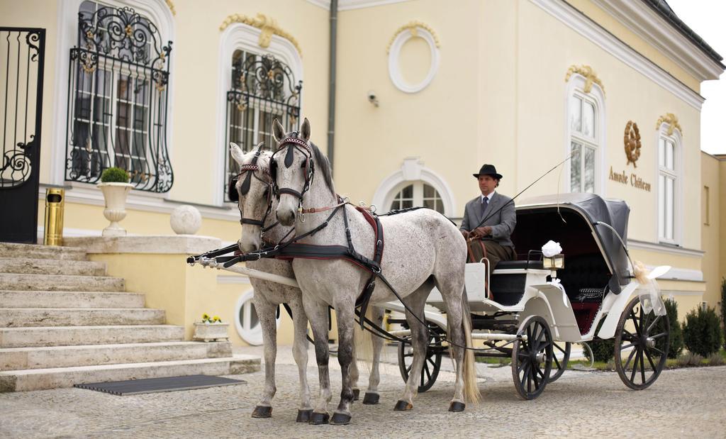 Amade Chateau Vrakúň Bagian luar foto